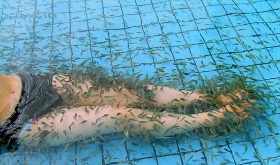 土耳其有位魚醫生叫“親親魚”